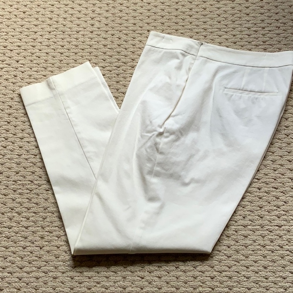 TALBOTS Chatham pants (curvy)